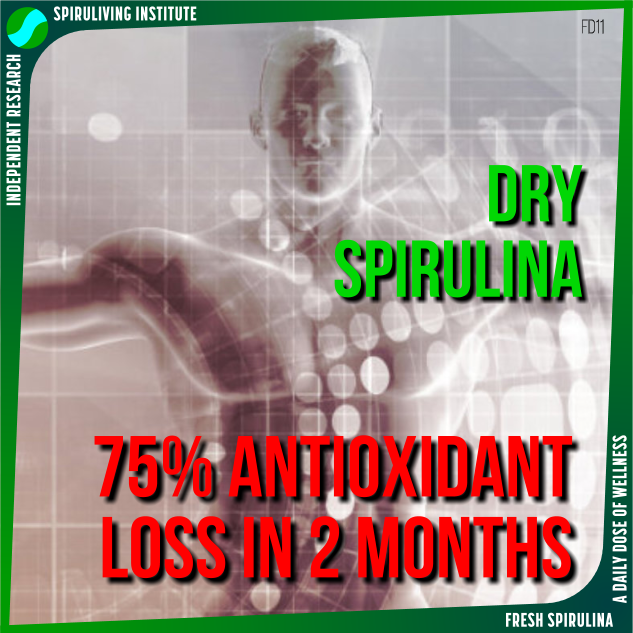 fd11-dry-spirulina-75%-antioxidant-loss-in-2-months