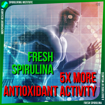 fd12-fresh-spirulina-5-times-more-antioxidant-activity