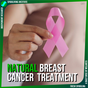natural-breast-cancer-treatment-ca11