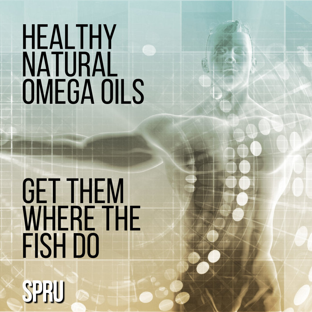 Get Your Omegas at Source — Where Fish Get Theirs – SPRU Live Spirulina