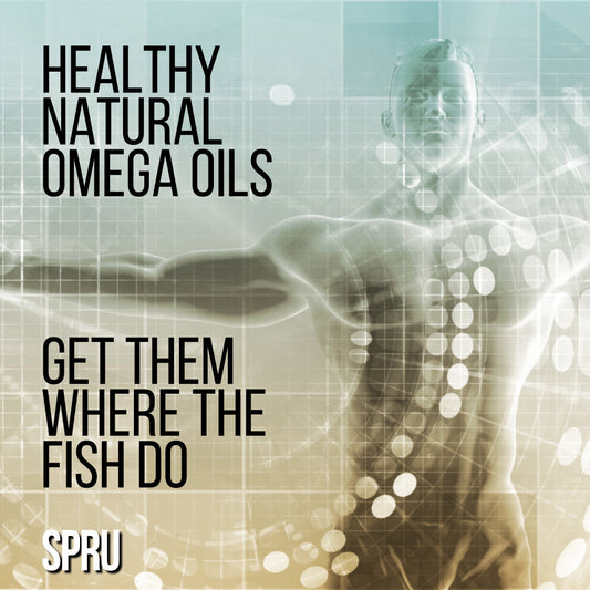 Get Your Omegas at Source — Where Fish Get Theirs