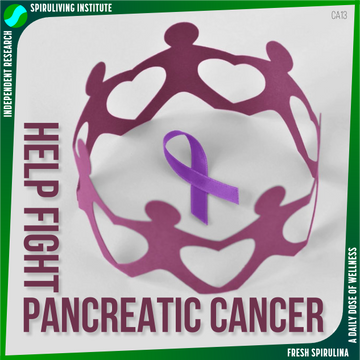 ca13-help-fight-pancreatic-cancer