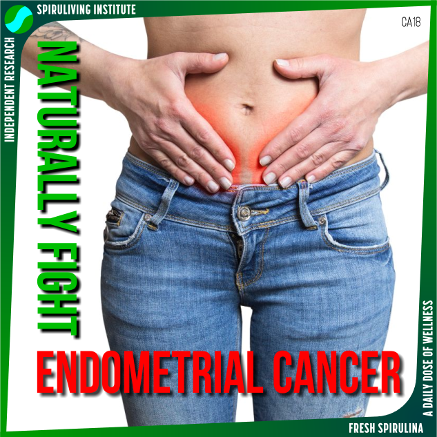 Spirulina Reduces Endometrial Cancer Tumors and Inhibits Metastasis