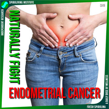 Spirulina Reduces Endometrial Cancer Tumors and Inhibits Metastasis