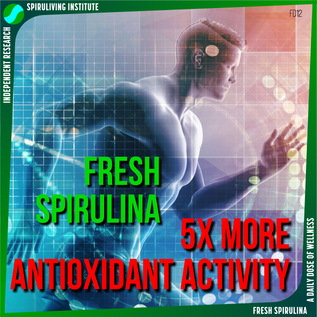 fd12-fresh-spirulina-5-times-more-antioxidant-activity